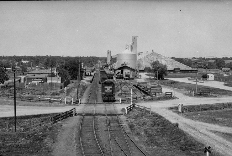Dunolly Railway Station c1967 Photo: PTC_PR1502