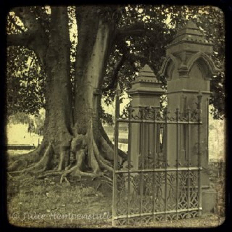 White Hills Cemetery