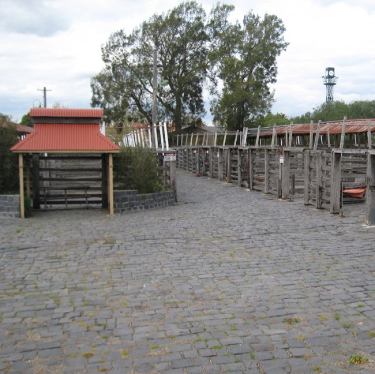 Former Newmarket Saleyards And Abattoirs