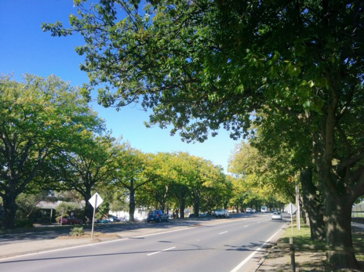 Avenue Of Honour