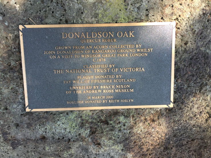 Donaldson's Oak Plaque