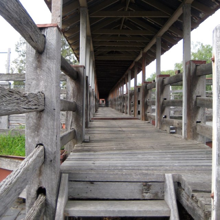 Former Newmarket Saleyards And Abattoirs