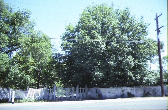 heidi 1 templestowe road bulleen front fence feb1988