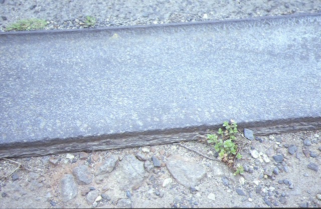 market gardeners tram plateway centre dandenong road heatherton top view of plateway 1992