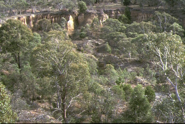 1 oriental claims sluicing omeo cliffs view