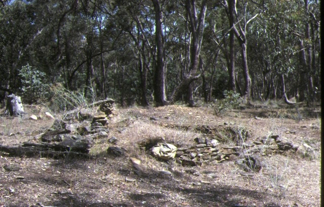 1 raggedy lead gold mining precinct percydale historic reserve avoca landscape