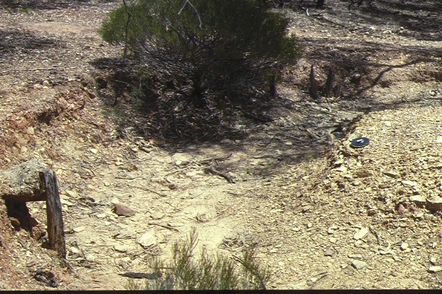 1 old tom reef gold puddling site eaglehawk landscape