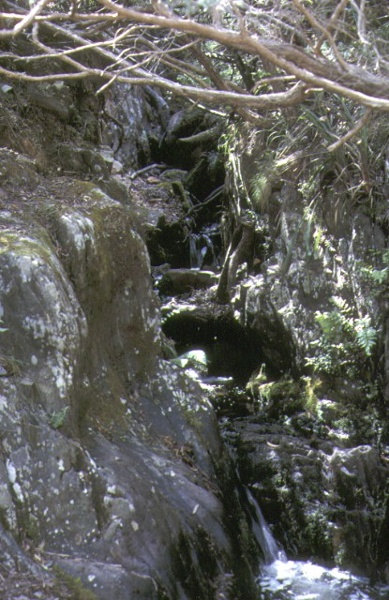 1 jungle creek fall sluice grant historical area dargo falls