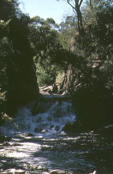 1 harrison's cut diverson sluice dargo river dargo front view