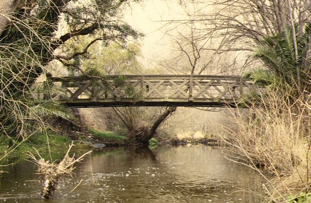 1 concrete truss footbridge over barkers creek castlemaine side view sep1997