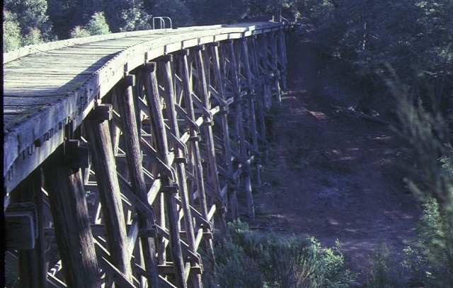 1 rail bridge noojee side view aug1982