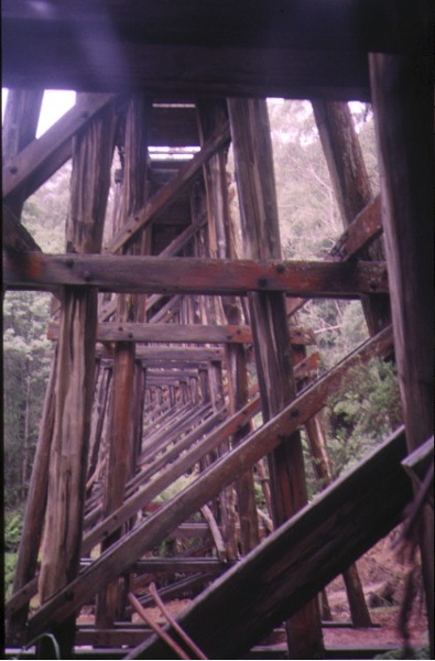 rail bridge noojee trestle view