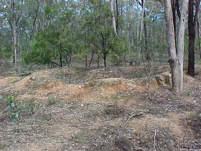 1 wallaces lead gold puddling precinct site view jan00