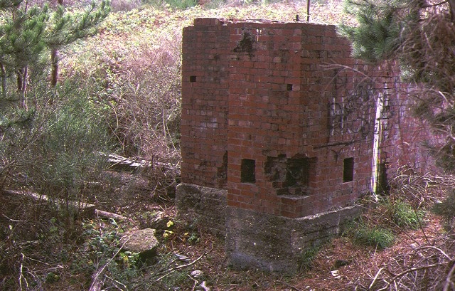1 maxwell consolidated quartz gold mines daylesford brick remnants jan1998