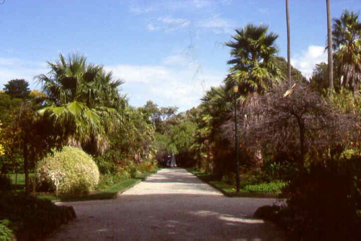 1 williamstown botanic gardens palm avenue ac2 apr1999