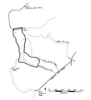 lisles &amp; mantons gullies quartz gold mine maldon plan