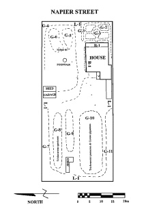 dawson cactus bendigo plan