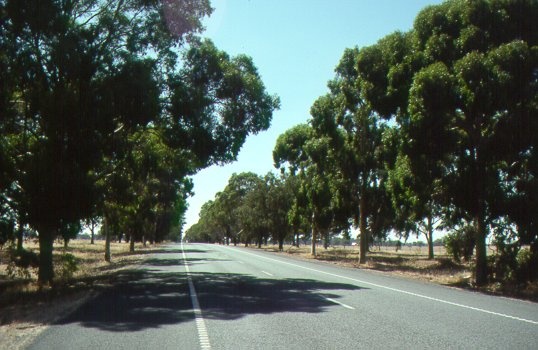 H01975 calder woodburn memorial avenue2 jh mar98