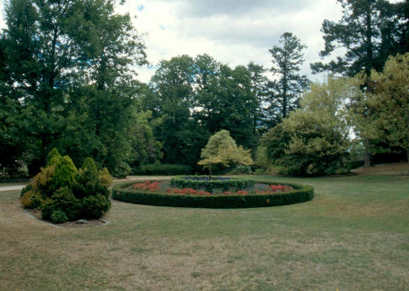 H01994 kyneton botanic gardens1