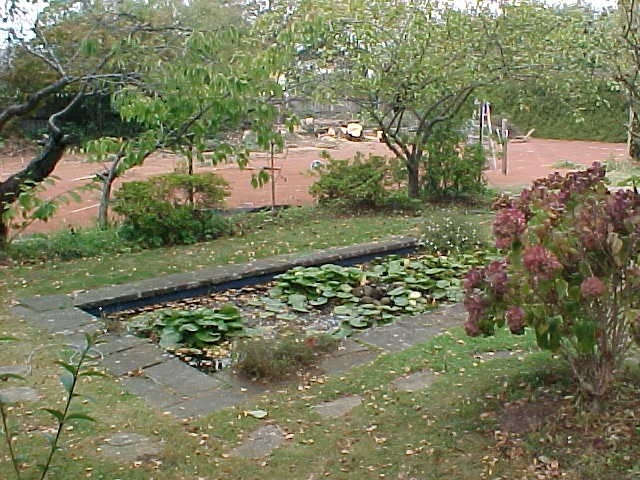 H01955 1 cuming garden pond