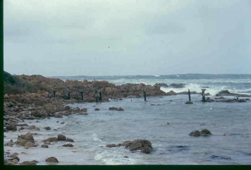 h01983 pt hicks jetty ruins dec99 pm1