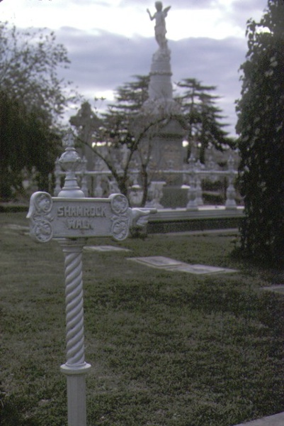 h00798 bendigo cemetery view of headstones