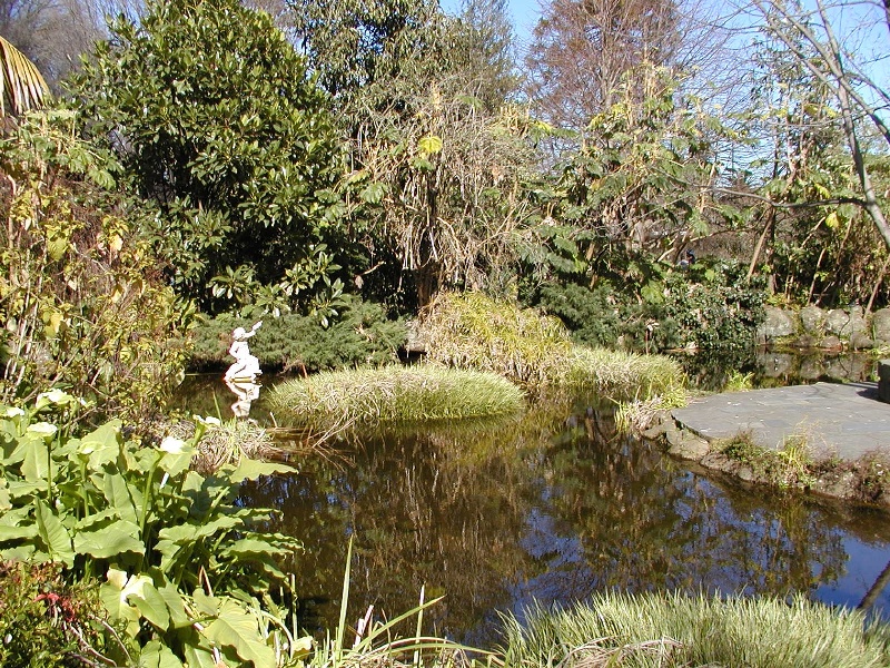 fitzroy gardens east melbourne pond she project 2004