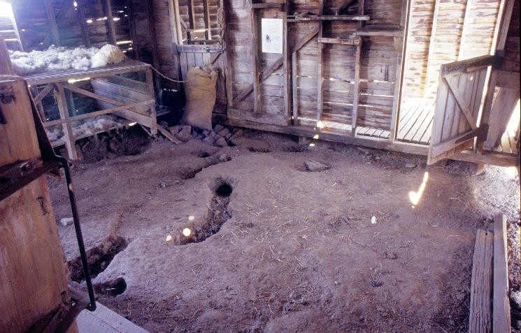 h00384 gulf station melba hwy yarraglen shearing shed interior she project 2003