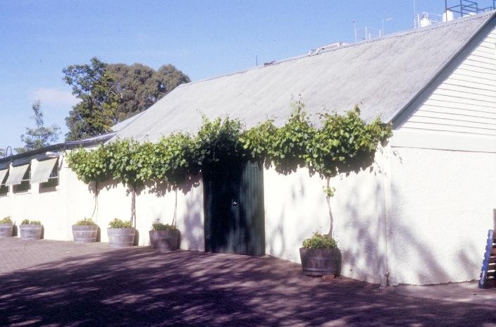 h00338 seppelts champagne cellars moyston road great western shaft house she program 2004