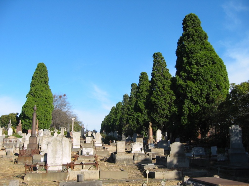 h00049 boroondara cemetery jh june 2005 007