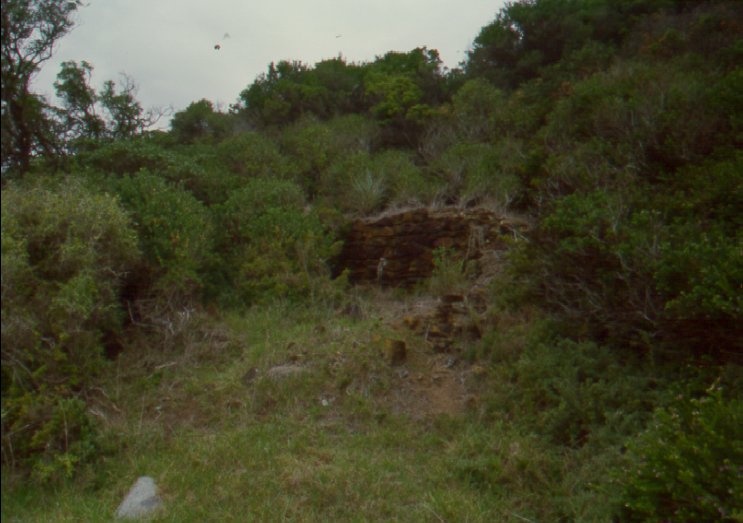 Fossil Beach Large Kiln