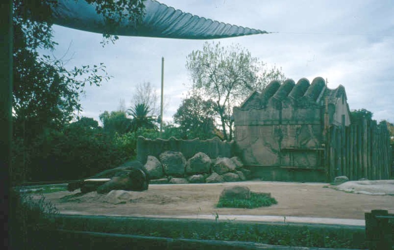 Royal Melbourne Zoological Gardens Royal Park Parkville Elephant House