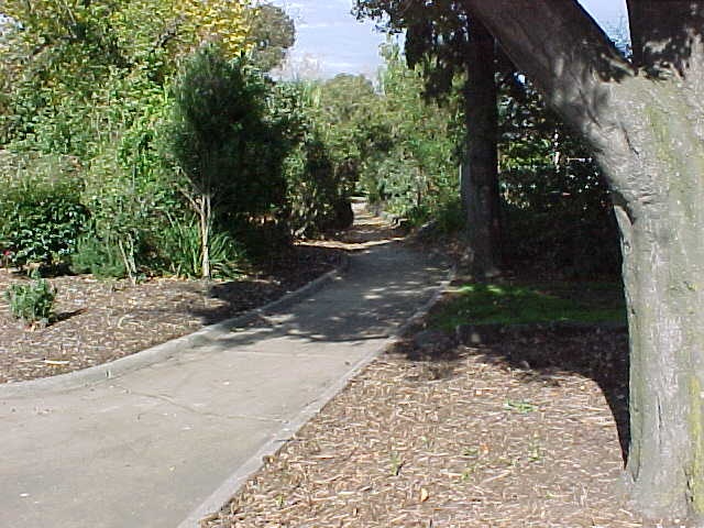 McKay Gardens Path Through Centre
