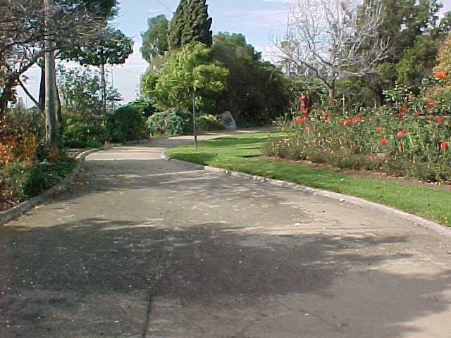 McKay Gardens Entrance Path