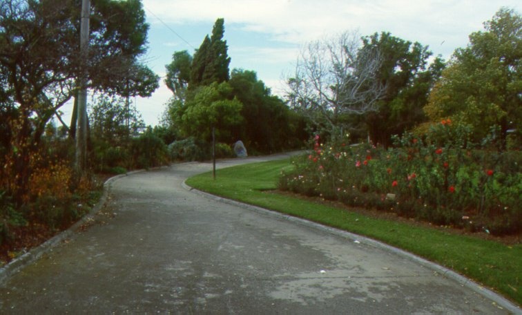 McKay Gardens Path May 2001