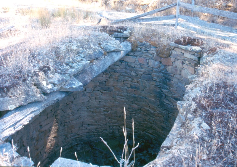 Elvezia Well 2004