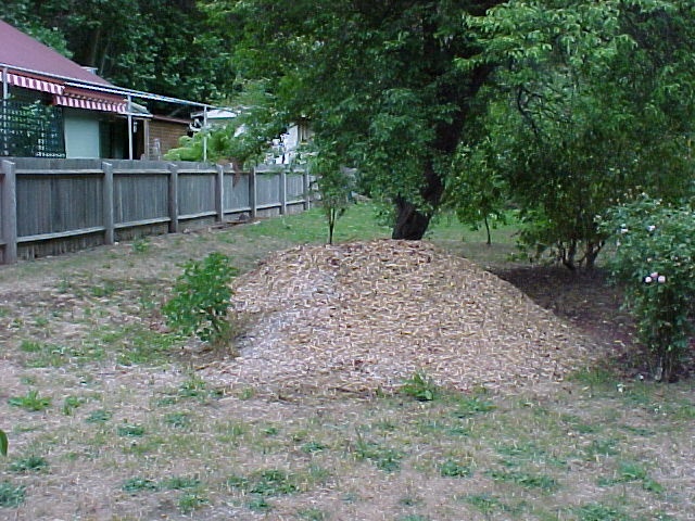 Walhalla Post Office Exterior Rear Mound March 2003