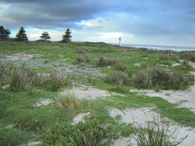 H1659 griffith island port fairy landscape3