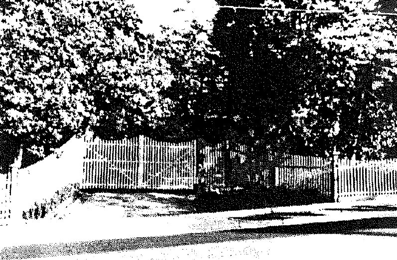 Camberwell Conservation Study 1991