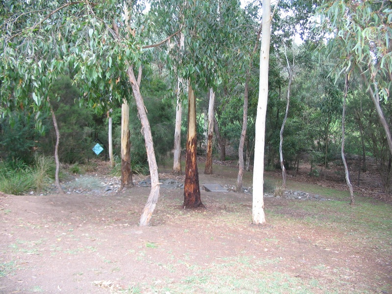 Manningham Heritage Garden &amp; Significant Tree Study 2006