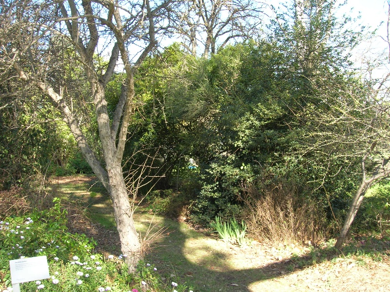 Manningham Heritage Garden &amp; Significant Tree Study 2006