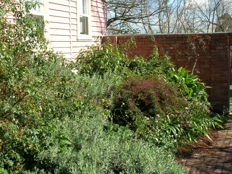 Manningham Heritage Garden &amp; Significant Tree Study 2006