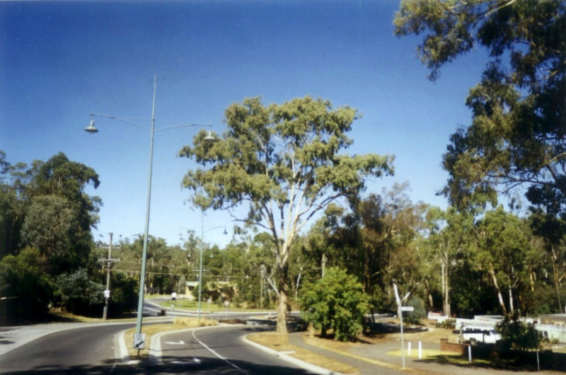 Manningham Heritage Garden &amp; Significant Tree Study 2006