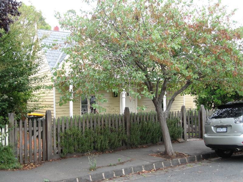 House at 3 Macquarie Street WILLIAMSTOWN, Hobsons Bay Heritage Study 2006