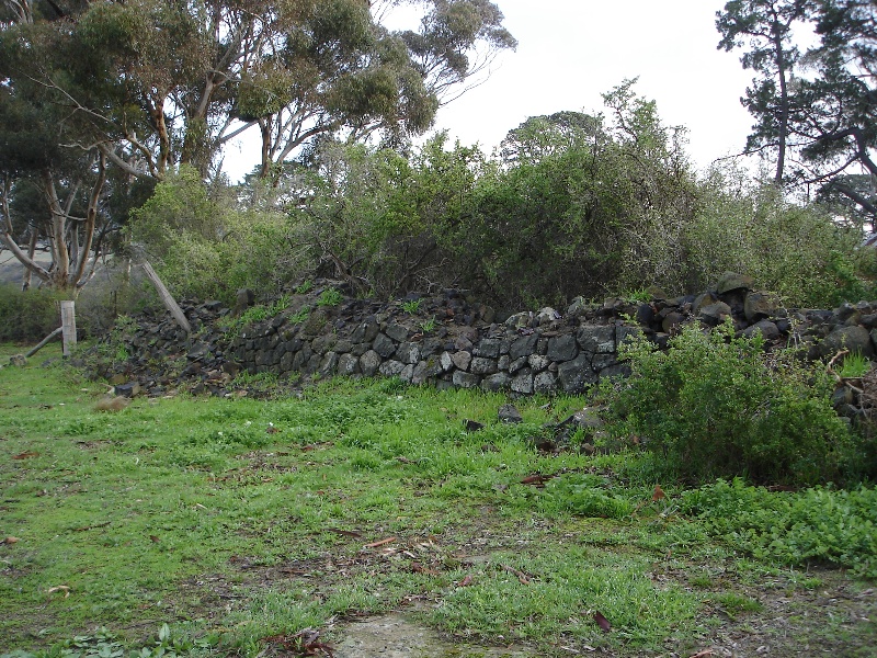Summer Hill small cow shed site KJ 10 July 07 4