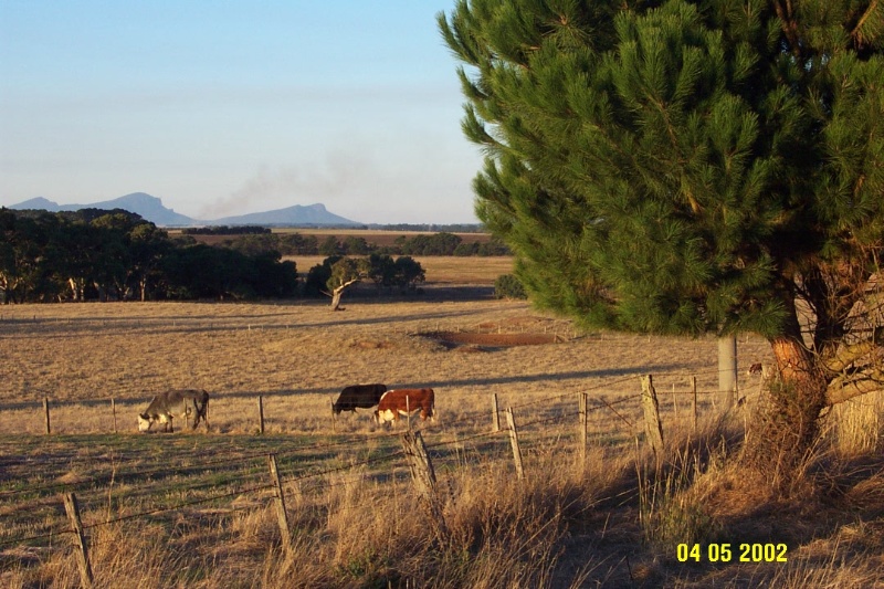 23312 Correagh view to Grampians 0913