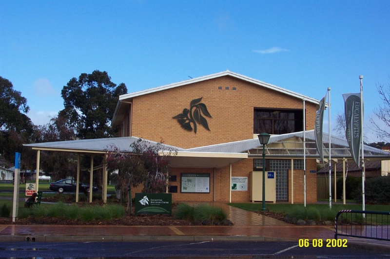 23146 Eucalyptus Centre Coleraine 1260