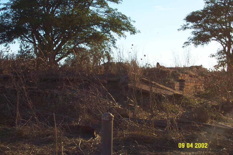 23305 Glenlogie ruins of house Branxholme 0749