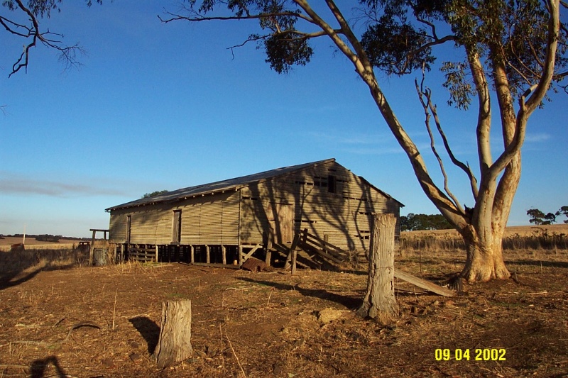 23305 Glenlogie woolshed Branxholme 0756