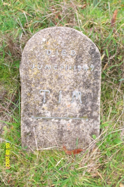 23436 Old Bilpah Glenthompson dog s grave 1211
